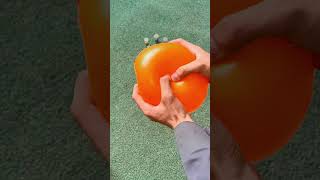 #asmr #satisfying #balloon #glitter #multicolor🌈#pop #funny #fun #shorts #shortsfeed #viral #foryou