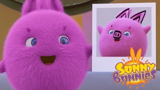 Videos For Kids | Sunny Bunnies SUNNY BUNNIES PICTURE PERFECT | Funny Videos For Kids HD