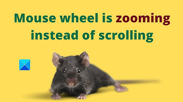 Mouse wheel is zooming instead of scrolling