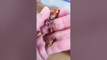 Palm Date Seeds Remove Machine #dates #process #machine