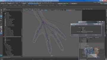 Joint Axes and Bone Orientations In Maya