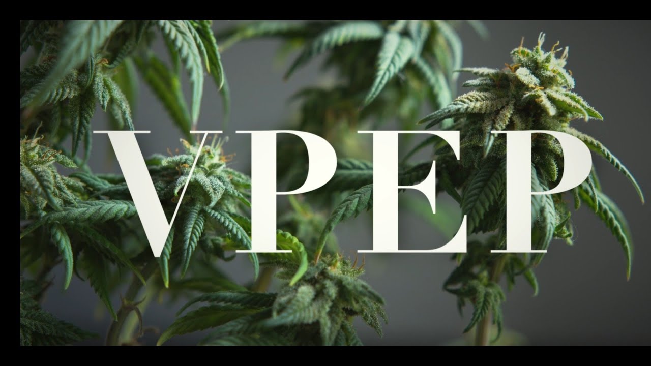 Watch Jblock - VPEP ( Video Oficial) on YouTube Watch Jblock - VPEP ( Video Oficial) on YouTube