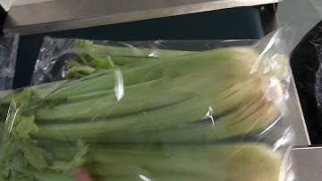 celery packing machine flowing wrapper