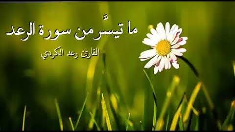 "ألَا بِذِكْرِ اللهِ تَطْمَئِنُّ القُلُوبُ" تلاوة خاشعة ومميزة من سورة الرعد - الشيخ رعد الكردي