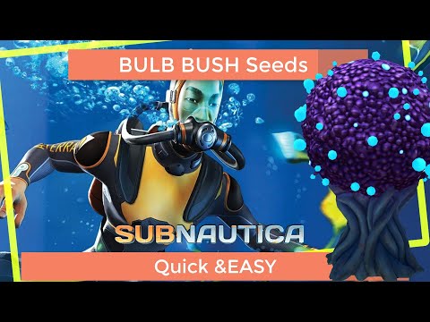 Subnautica How to find Bulb Bush Seed Quick and Easy |  Subnautica beginners guide
