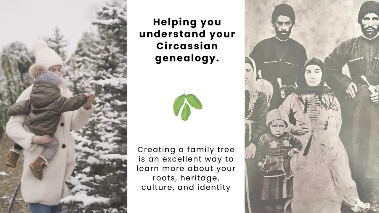 ⁣Circassian Family Tree - Updated