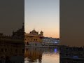 Waheguru Ji #amritsar #goldentemple #waheguru #wahegurublessings #subscribemychannel #youtubeshorts