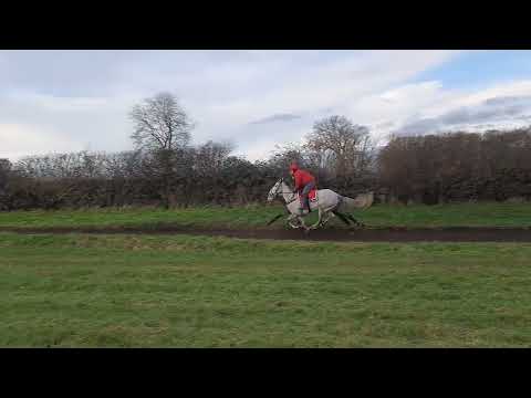 Sunday Morning | Gallop | Patrick Neville Racing | Mad Merriagn