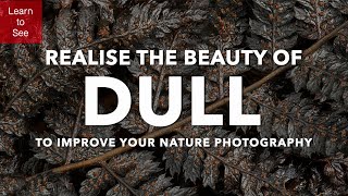 Improve your Nature Photography and Realise the Beauty of Dull