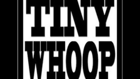 Tiny Whoop/Betafpv V2 OSD Fc!!!