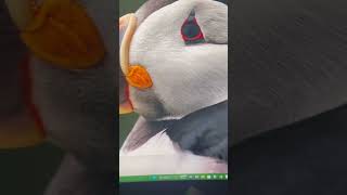 Enable Secure Boot in Battlefield or Battlefield 6