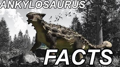 Explaining ankylosaurus  || DINOSAUR FACTS || Ankylosaurus Magniventris “fuzed lizard” 