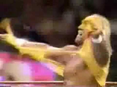 Hulk Hogan vs Stone Cold Steve Austin Fan Promo