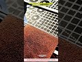 Edge Pulse — innovative finishing beyond human consistency