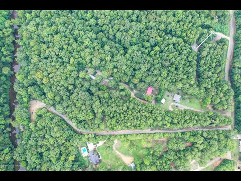 443 OLD PINEYWOODS RD, Jasper, AL home video tour