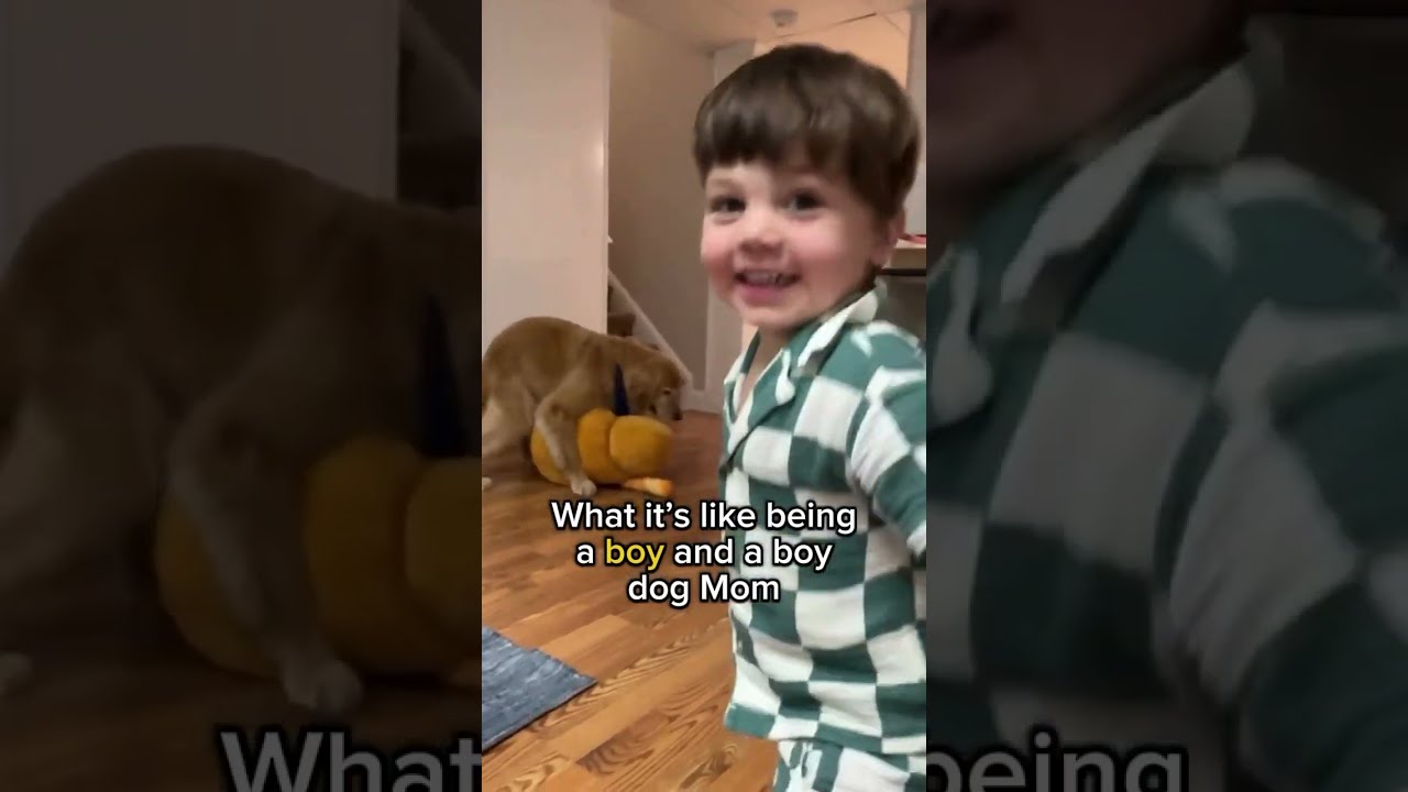 Our Dog Is Dancing 
