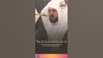 تلاوة عطرة بصوت الشيخ ماهر المعيقلي