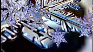 Футаж  Снежинки под микроскопом   Footage  Snowflakes under a microscope     000784