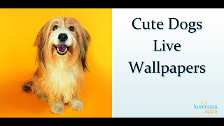 Cute Dogs Live Wallpaper screenshot 4