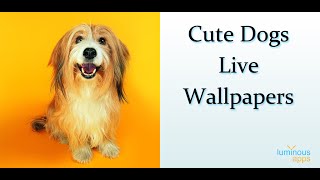 Cute Dogs Live Wallpaper screenshot 2