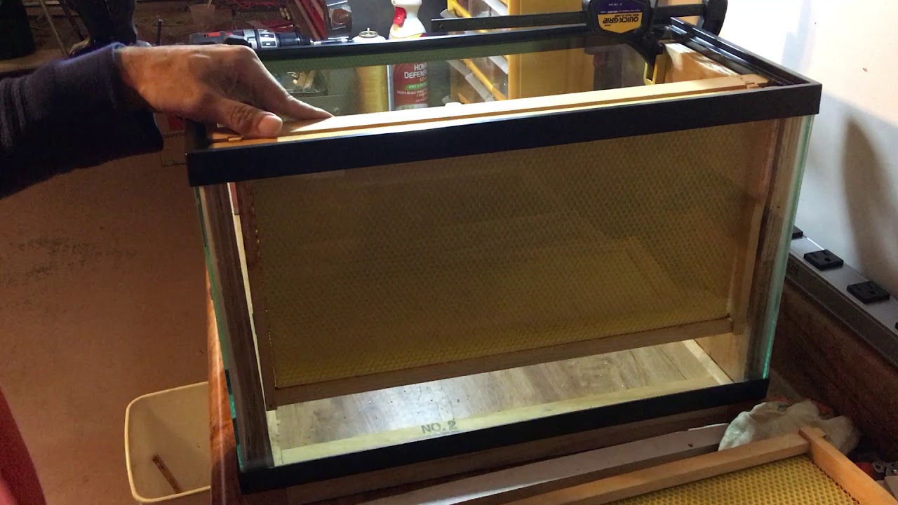 Building an Observation Hive v2.3