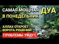 САМАЯ СИЛЬНАЯ Дуа в ПОНЕДЕЛЬНИК‼️, ДАЕТ УВАЖЕНИЕ, БОГАТСТВО, РИЗК, ДЕНЬГИ, УСПЕХ И СЧАСТЬЕ! #дуа