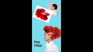 Photoshop Express tutorial - Photo collage screenshot 2