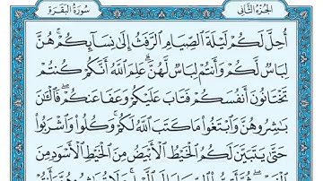سورة البقرة مكررة عشر مرات - ماهر المعيقلي - مكتوبة - حفظ القرآن الكريم - الصفحة 29