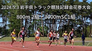 2024.5.3 岩手県トラック競技記録会花巻大会 800ｍ2組・3000ｍSC1組