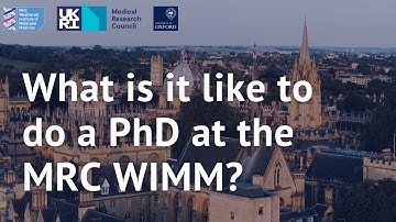 What is it like to do a PhD at the MRC WIMM?