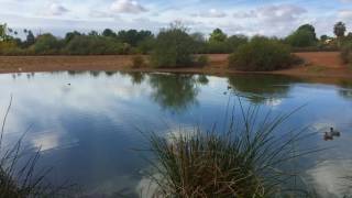 Gilbert Riparian Preserve at Water Ranch