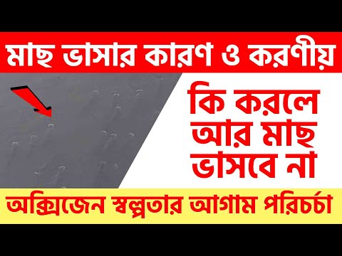 ভিডিও: মাছের চেয়ে কী আবহাওয়া ভাল