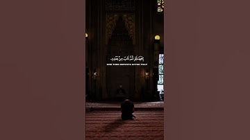 اكتب شيئًا تؤجر عليه🤍. #لا_إله_إلا_الله #قرآن #اقتباسات #religion #اذكار #quotes #quran #muslim