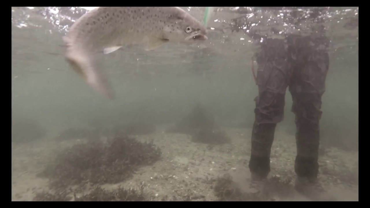 Mens vi venter på foråret !