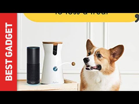 Furbo Dog-2 Review