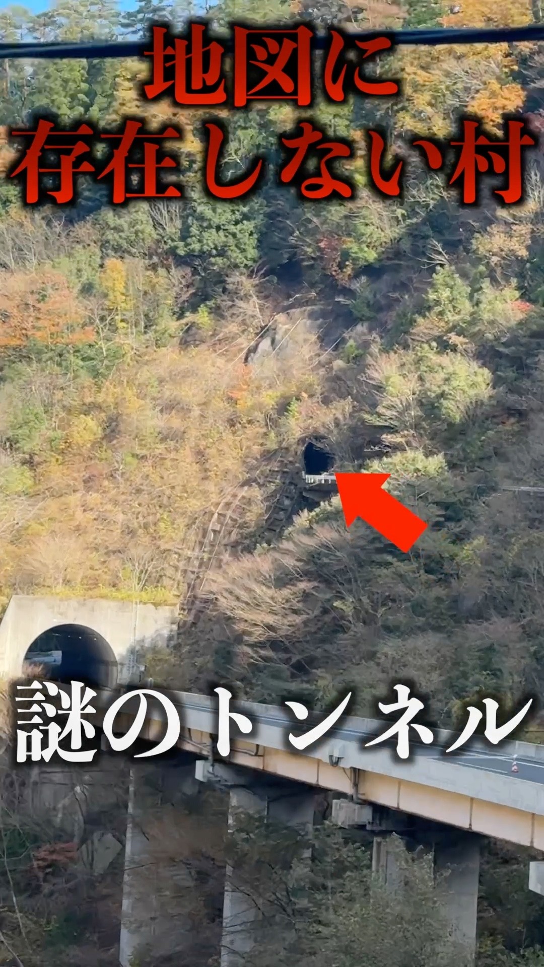 I went to a 