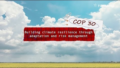 Building climate resilience through adaptation and risk management - FONPLATA on the road to COP30