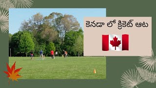 Watch DCC Team Cricket Match II Explore Sunnybrook Park II Hiking in Toronto II Canada Telugu Vlogs by Swathi Santi 423 views 2 years ago 9 minutes, 42 seconds