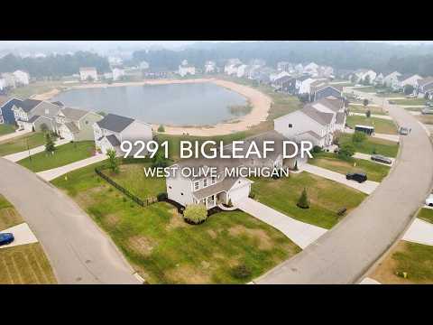 9291 Bigleaf Dr, West Olive, MI home video tour