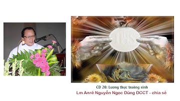 Linh mục Andre Nguyễn Ngọc Dũng DCCT