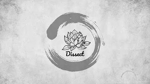 Dissect [Dc] Artsariiv 0:57 - Ren Pov