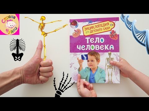 Книга для детей ТЕЛО ЧЕЛОВЕКА. Энциклопедия для детского САДА