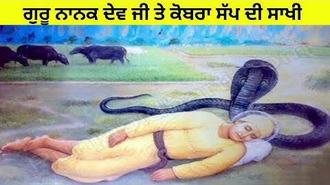 ਗੁਰੂ ਨਾਨਕ ਦੇਵ ਜੀ ਤੇ ਕੋਬਰਾ ਸੱਪ ਦੀ ਸਾਖੀ Katha guru nanak dev ji and snake