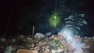 SARANG KUNTILANAK DI KEBUN KARET