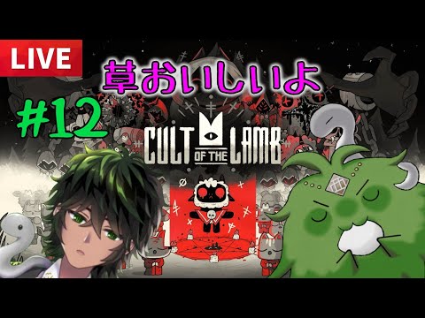 【Cult of the Lamb】教祖体力つけて #12 【Vtuber】