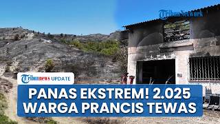 Panas Ekstrem! 2.025 Warga Prancis Tewas Hanya dalam Satu Minggu, Angka Kematian Meningkat 30 Persen