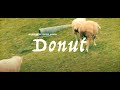 Newdums - Donut