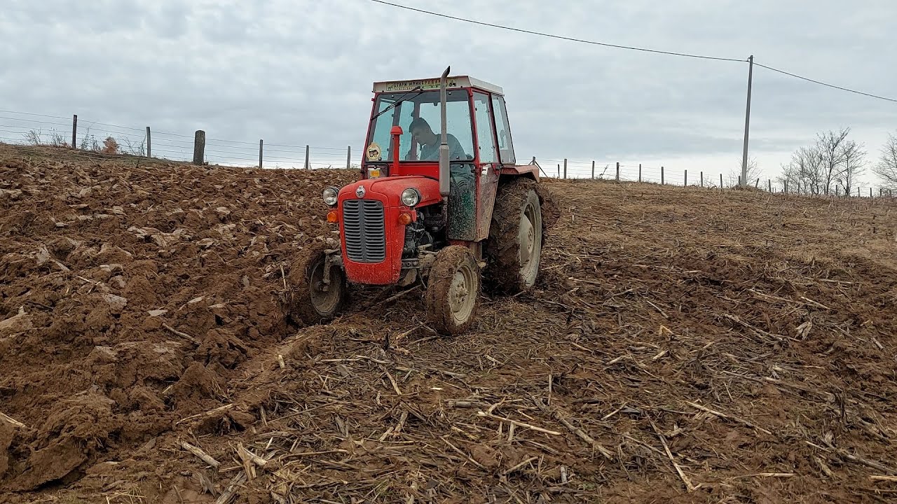 Oranje u pravcu dijagonale-oranje kod Dragana u Jarebicama-CEO SNIMAK-februar 2022