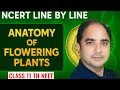 Anatomy of Flowering Plants | NCERT Line by Line | Class 11 Biology | NEET 2026” #biology b