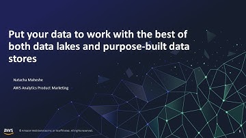 Put Your Data to Work with the Best of Both Data Lakes and Purpose-Built Data Stores